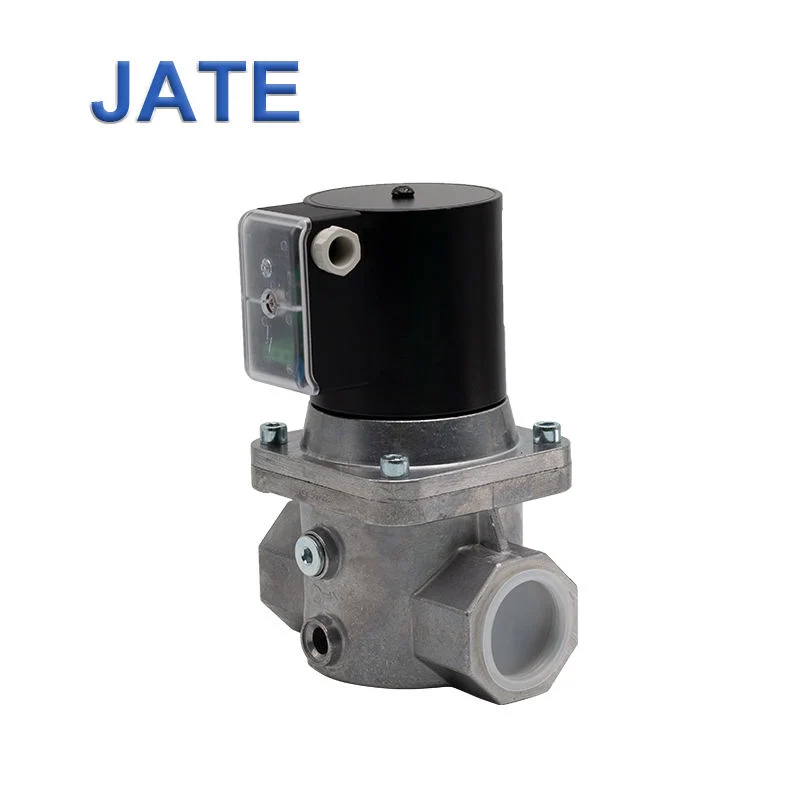 Solenoid Control Valves 24V Madewelle Devg50 Explosion-Proof Safety The Electromagnetic Valve for Industrial Gas Combustion