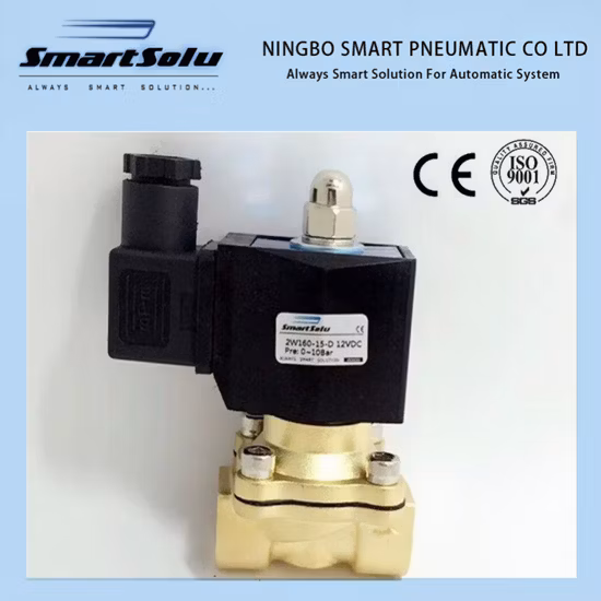 Vacuum Package Machine Brass Solenoid Valve for 12V 24V 220V